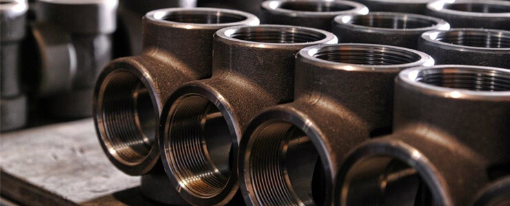 Hastelloy Forged Fittings